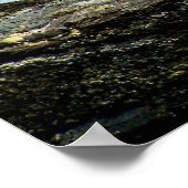 Gone Fishing Poster (Ecke)