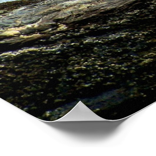 Gone Fishing Poster (Ecke)