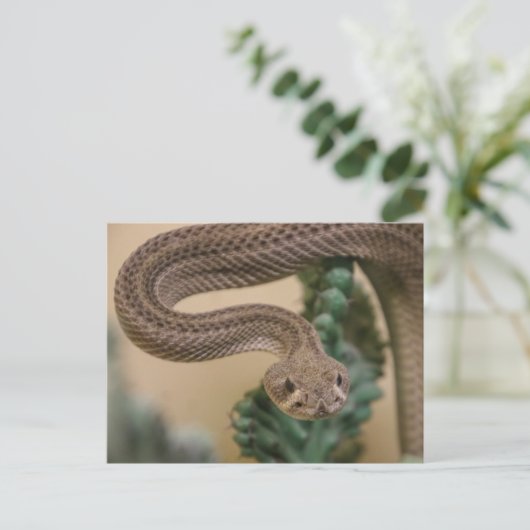 Gone Get Yea! Postkarte (Stehend Vorderseite)