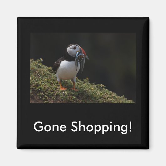 Gone Shopping Fisher Puffin Magnet (Vorne)