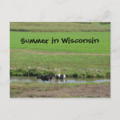 Gone Swimmin' Postkarte (Vorderseite)