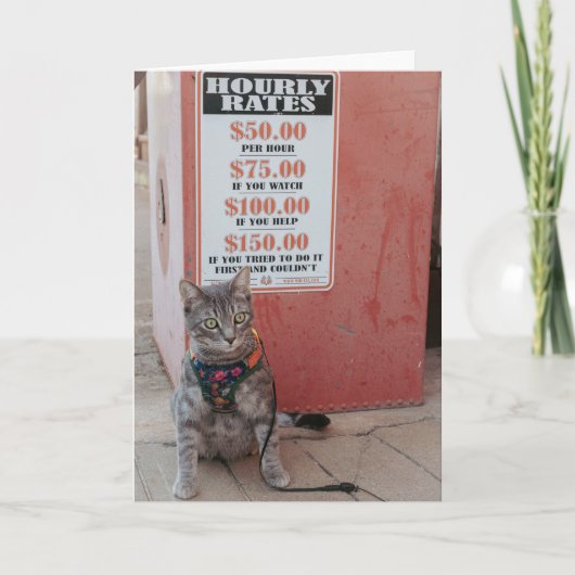 Gonna Cost you cat Notecard Ankündigung (Vorderseite)
