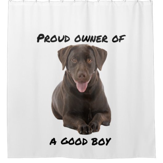 Good Boy Chocolate Labrador Duschvorhang (Vorderseite)