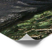 Good Bull Moose Poster (Ecke)