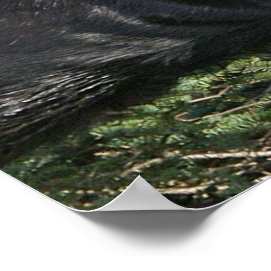 Good Bull Moose Poster (Ecke)