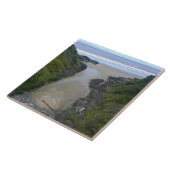Good Fortune Cove, Cape Perpetua, ODER Fliese (Seite)