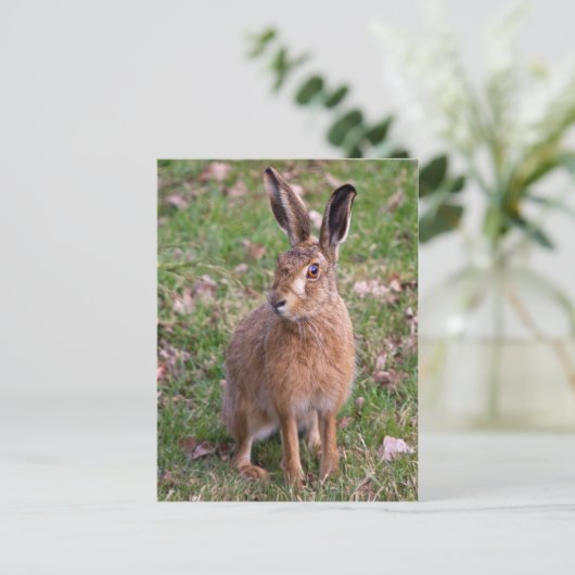 Good Hare Day Postcard Postkarte (Stehend Vorderseite)