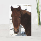 Good Horse Abschluss Card - Western Karte (Vorderseite)