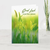 Good Luck Green Summer Grass Karte (Vorderseite)