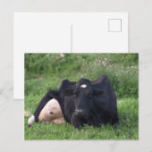 Good Moarning WI Postkarte (Vorne/Hinten)