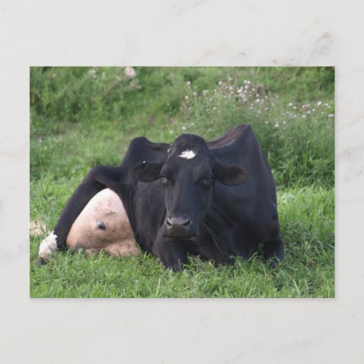 Good Moarning WI Postkarte (Vorderseite)