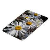 Good Morning Daisies Magnet (Linke Seite)