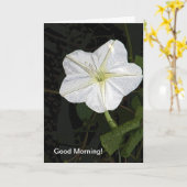 Good Morning Glory Friendship Card Karte (Gelbe Blume)