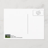 Good Morning Ozark Postcard Postkarte (Rückseite)