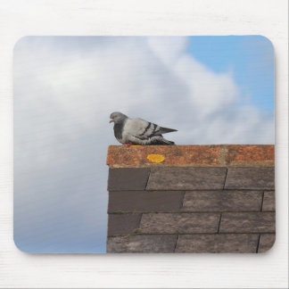 Good Morning Pigeon Mousepad
