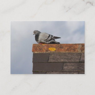 Good Morning Pigeon Visitenkarte