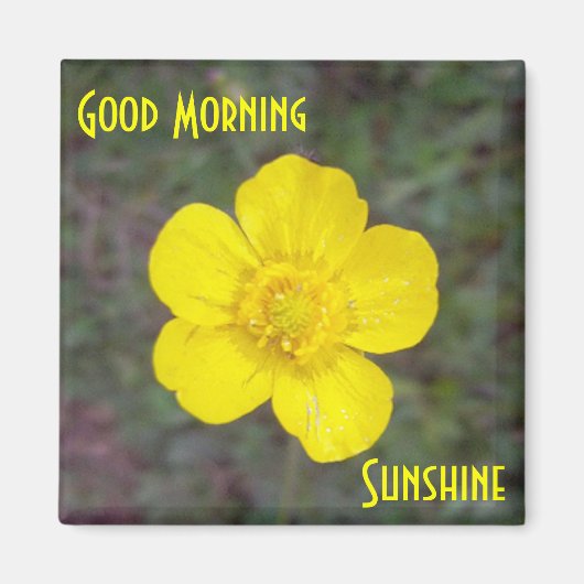 Good Morning Sunshine Magnet (Vorne)