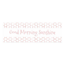 Good Morning Sunshine Pink Beehive Sign