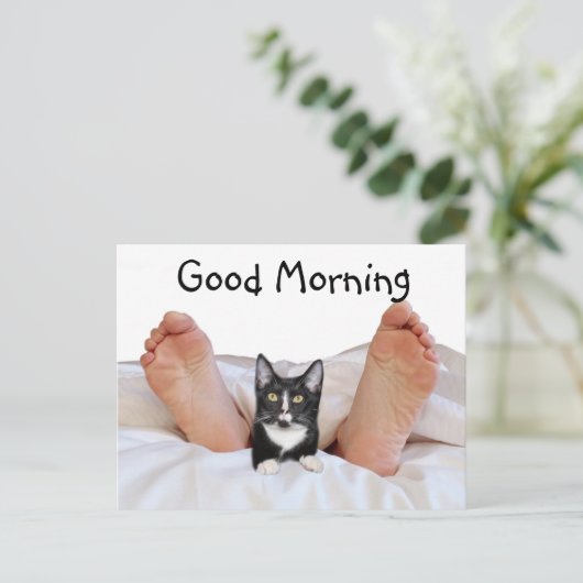 Good Morning Tuxedo kitty Postkarte (Stehend Vorderseite)