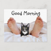 Good Morning Tuxedo kitty Postkarte (Vorderseite)