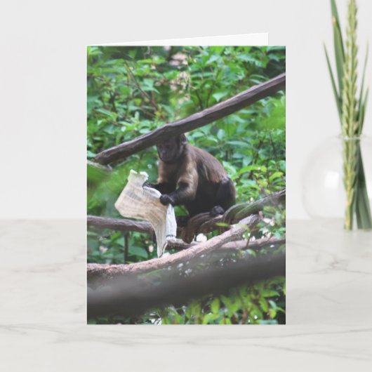 Good News Monkey sagt Herzlichen Glückwunsch Karte (Vorderseite)