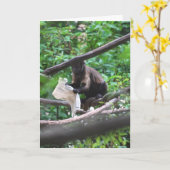 Good News Monkey sagt Herzlichen Glückwunsch Karte (Gelbe Blume)