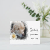 *~ Good Vibes Sad Gold Hund Blume AP61 Postkarte (Stehend Vorderseite)