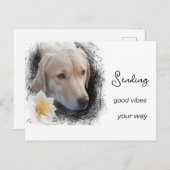 *~ Good Vibes Sad Gold Hund Blume AP61 Postkarte (Vorne/Hinten)