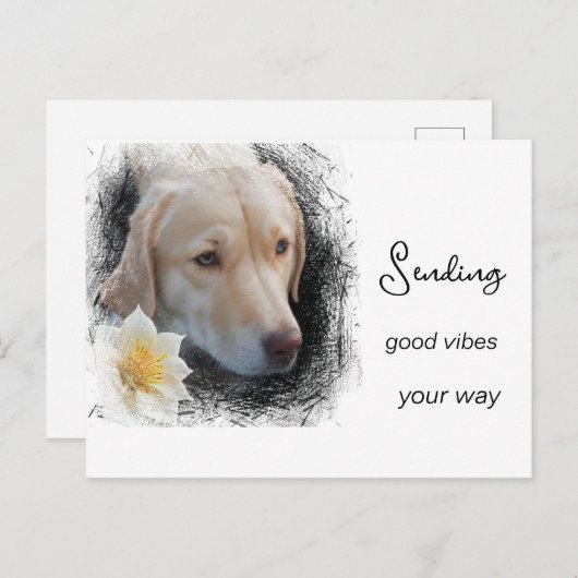 *~ Good Vibes Sad Gold Hund Blume AP61 Postkarte (Vorne/Hinten)