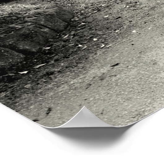 Goodbye Elephant, Tiger und Zebra Poster (Ecke)