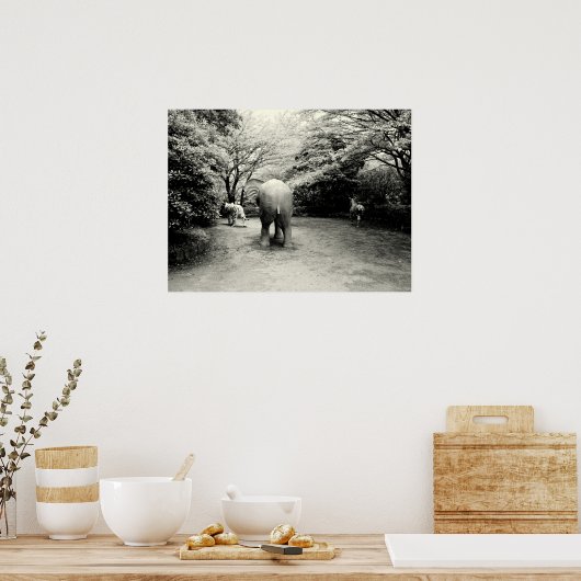 Goodbye Elephant, Tiger und Zebra Poster (Küche)