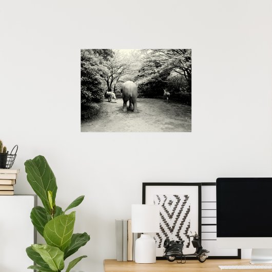 Goodbye Elephant, Tiger und Zebra Poster (Heimbüro)