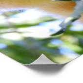 Goodfellow's Tree Kangaroo Poster (Ecke)