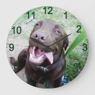 Goofy Delights: Chocolate Brown Labrador Puppy, Große Wanduhr