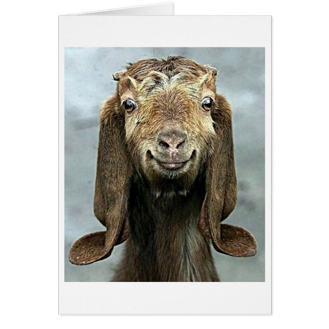 GOOFY GOAT SAGT, DU SEHST "50" "GUT AUF DICH!" (Vorne)