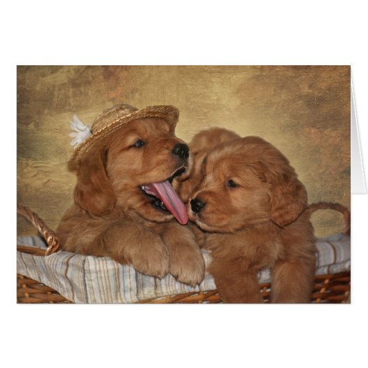 Goofy Golden Retrievers (Vorderseite (Horizontal))