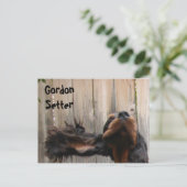 Goofy Gordon Setter Postkarte (Stehend Vorderseite)