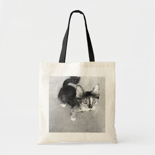 Goofy Kaliko-Kätzchen, wertvolle Haustier-Tasche Tragetasche (Vorne)