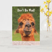 Goofy Llama Birthday Karte (Gelbe Blume)