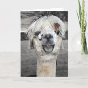Goofy Llama Grußkarte Karte