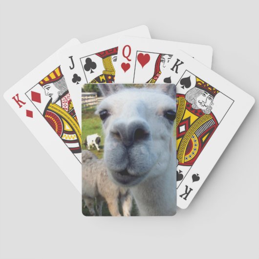 Goofy Llama Playing Cards Spielkarten (Rückseite)