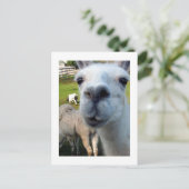Goofy Llama Postcard Postkarte (Stehend Vorderseite)