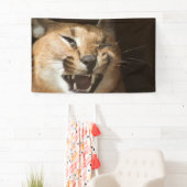 Goofy Lynx Banner (Insitu)