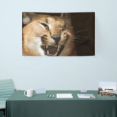 Goofy Lynx Banner (Messeveranstaltung)