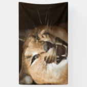 Goofy Lynx Banner (Vertikal)