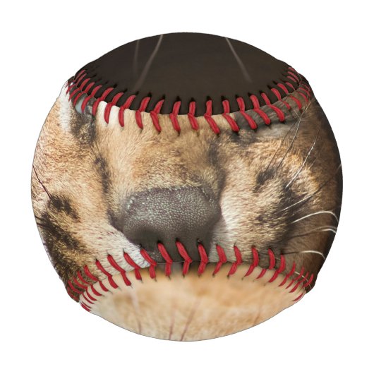 Goofy Lynx Baseball (Vorderseite)
