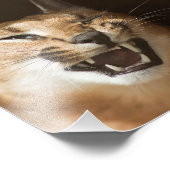 Goofy Lynx Fotodruck (Ecke)