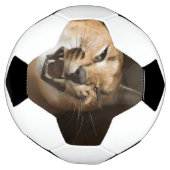 Goofy Lynx Fußball (Gedreht)