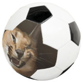 Goofy Lynx Fußball (Dreiviertel)