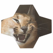 Goofy Lynx Fußball (Flach)